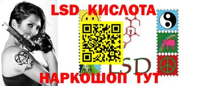 гидропоника Камышлов