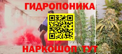 гидропоника Камышлов