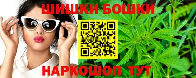гидропоника Камышлов