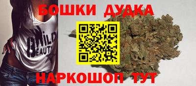 гидропоника Камышлов