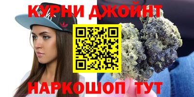 гидропоника Камышлов