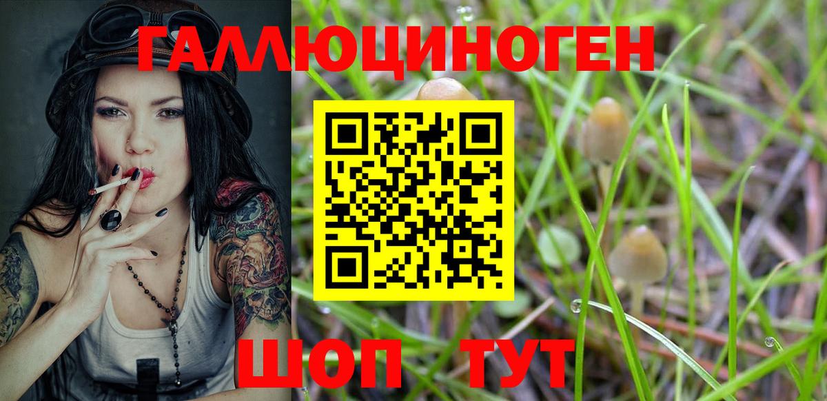 Галлюциногенные грибы мухоморы  Вход с VPN  Галлюциногенные грибы Psilocybe  купить наркотик  Ирбит 